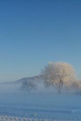 Winterlandschaft zum Träumen