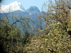 Die Karawanken blitzen noch im Schnee