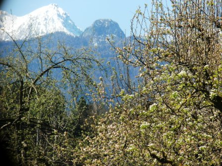 Die Karawanken blitzen noch im Schnee
