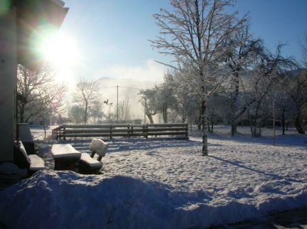 Unser Garten im Winter