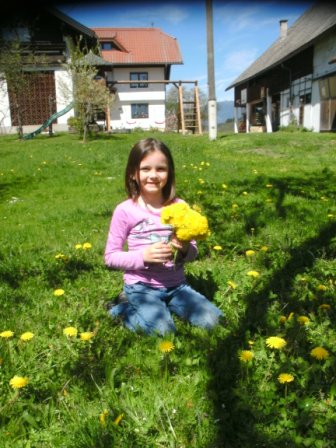 Der erste Frühlingsstrauß